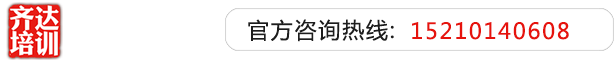 大鸡吧操小骚穴视频齐达艺考文化课-艺术生文化课,艺术类文化课,艺考生文化课logo